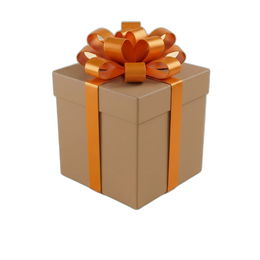 Mystery Gift