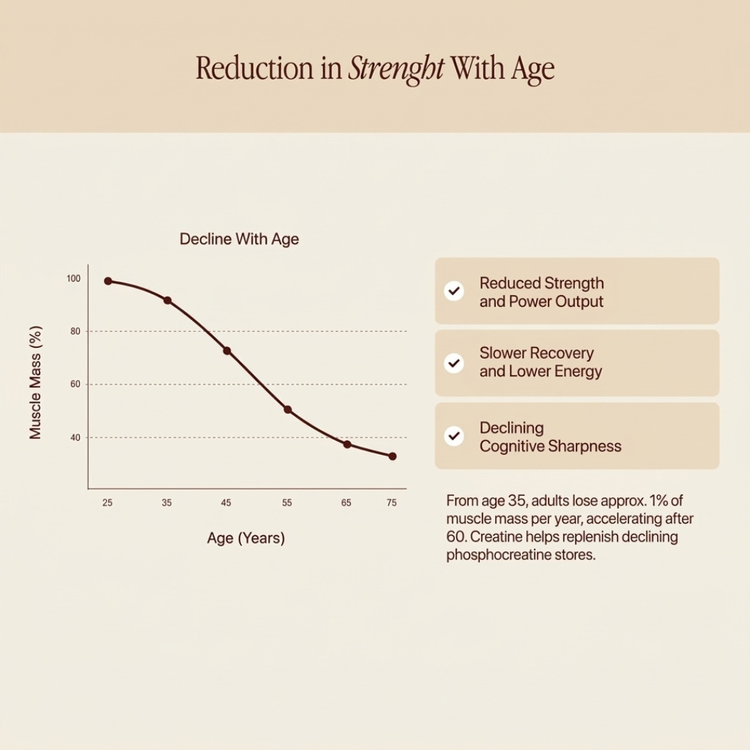 Chart showing muscle mass declining with age, and how creatine supports strength, recovery and focus